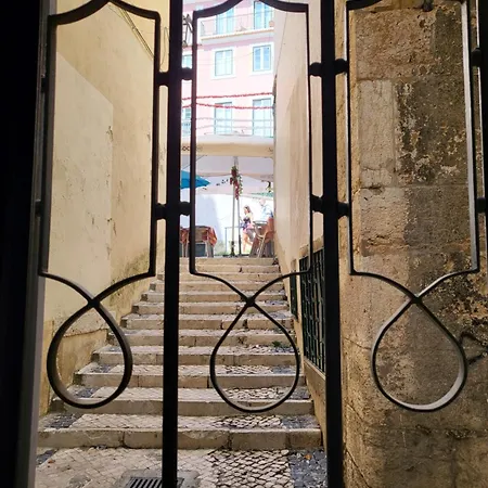 Alfama Services
